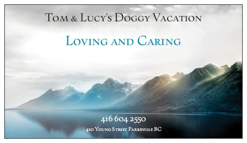 Tom and Lucys Doggy Vacation | 410 Young St, Parksville, BC V9P 1C3, Canada | Phone: (416) 604-2550