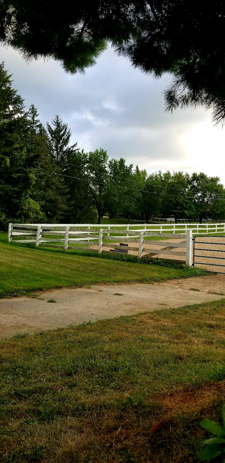 Hunter Green Equestrian Centre | 14145 8 Line, Georgetown, ON L7G 4S4, Canada | Phone: (905) 749-4432