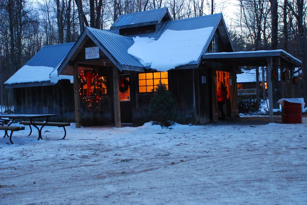 Thomas Tree Farm | 6421 McCordick Rd, North Gower, ON K0A 2T0, Canada | Phone: (613) 489-2314