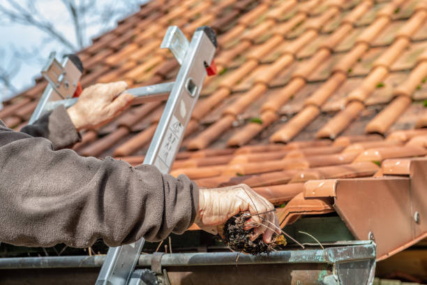 Gutters and Demossing Victoria | 402 Dallas Rd, Victoria, BC V8V 2C5, Canada | Phone: (250) 885-8052