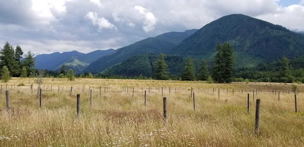 Shalefield Organic Gardens | 41381 Henderson Rd, Lindell Beach, BC V2R 4X5, Canada | Phone: (604) 858-8337