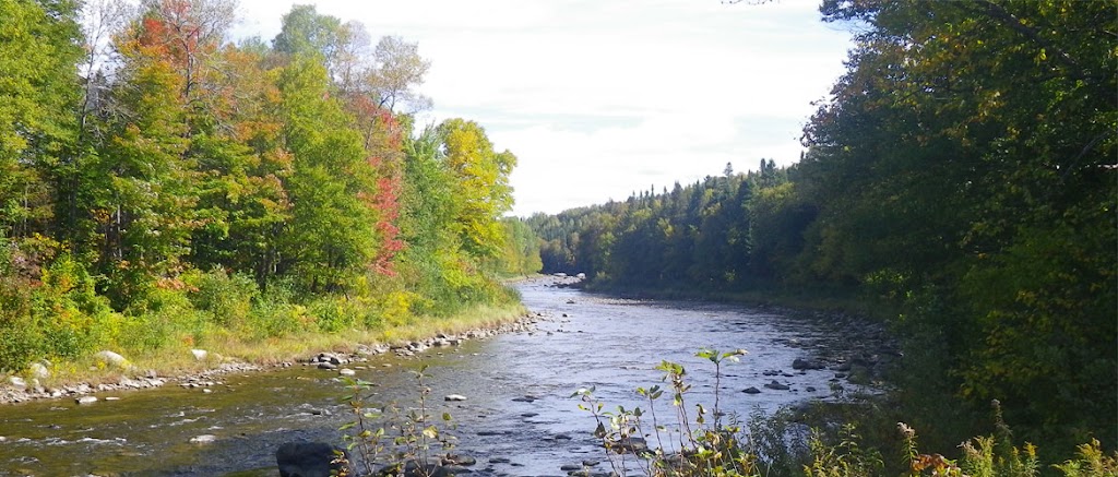 CBE - Etchemin River Watershed Management | 219-B Rue Commerciale, Saint-Henri, QC G0R 3E0, Canada | Phone: (418) 882-0042