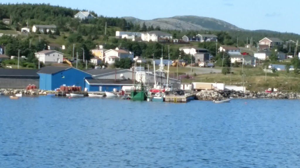 Elaines B & B By the Sea | 30 Lower Loop Rd, Witless Bay, NL A0A 4K0, Canada | Phone: (709) 334-2722