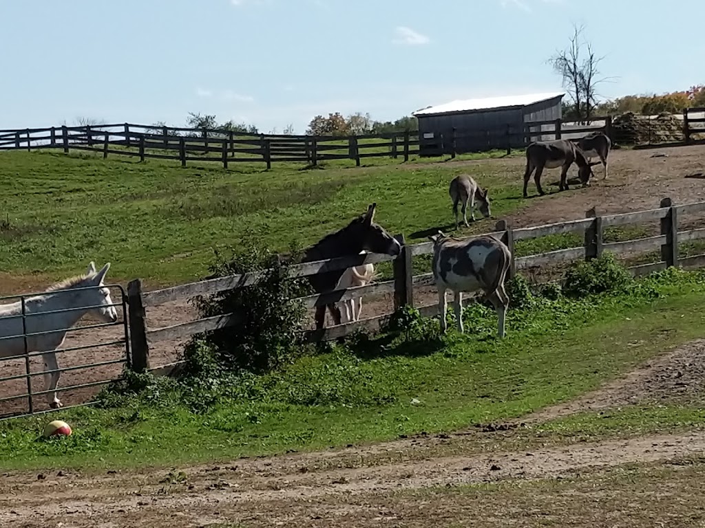 The Donkey Sanctuary of Canada | 6981 Conc. 4, Puslinch, ON N0B 2J0, Canada | Phone: (519) 836-1697