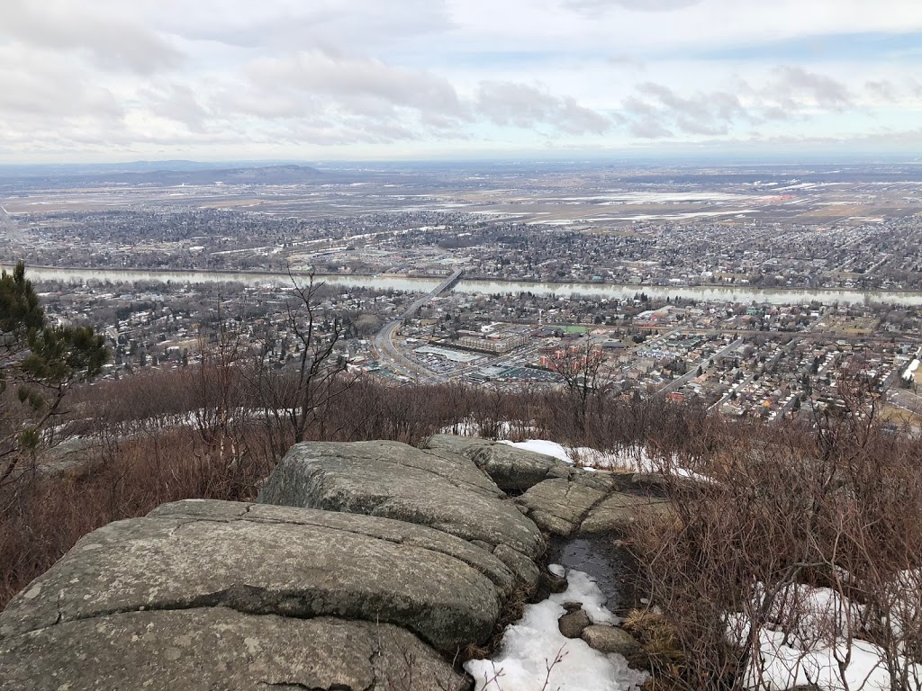 Refuge doiseaux de Mont-Saint-Hilaire | Gault Nature Reserve, 422 Chemin des Moulins, Mont-Saint-Hilaire, QC J3G 4S6, Canada | Phone: (450) 467-4010