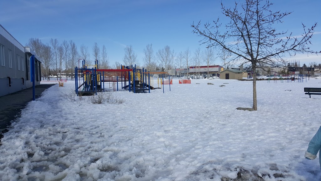 École Percy Pegler School | 69 Okotoks Dr, Okotoks, AB T1S 2B1, Canada | Phone: (403) 938-4449