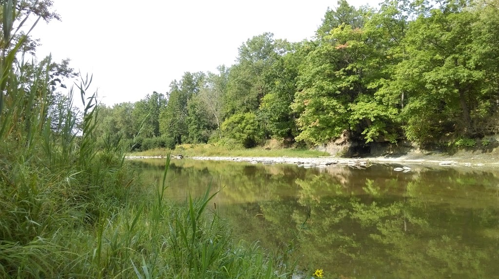 Cazenovia Creek Wildlife Management Area | West Seneca, NY 14224, USA