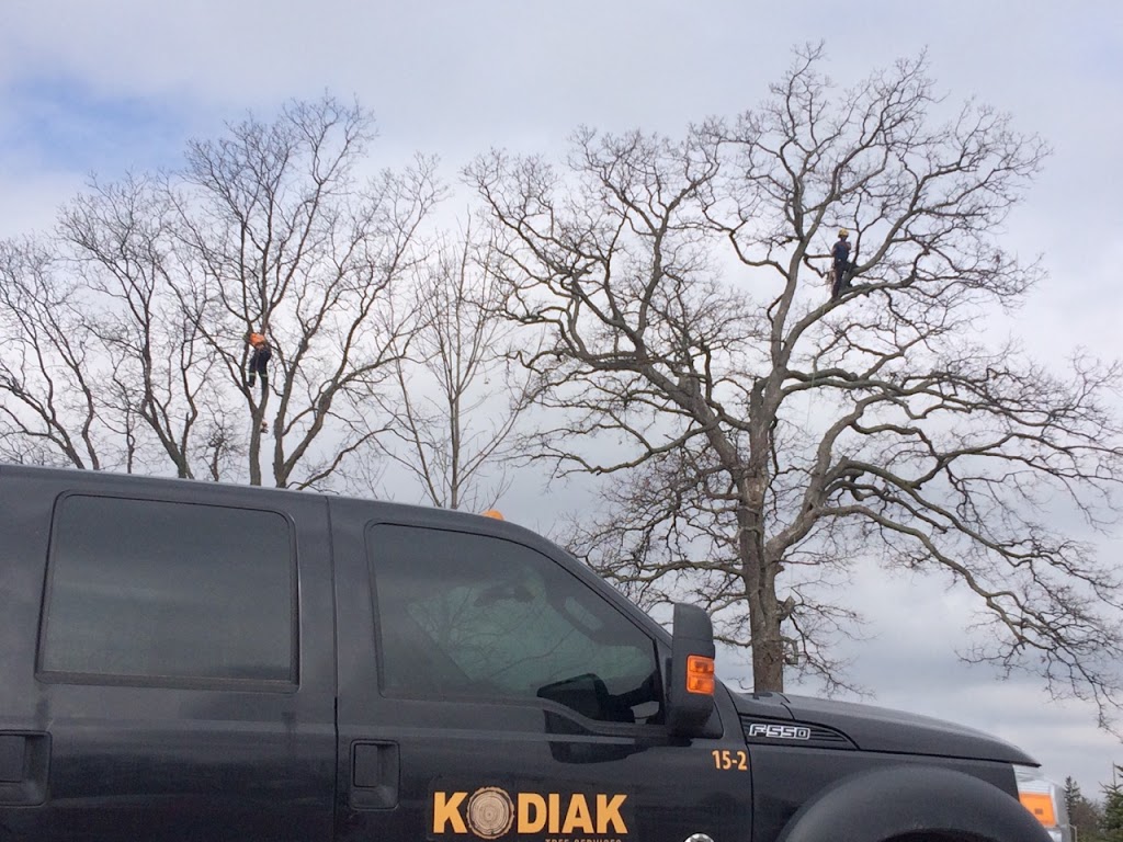 Kodiak Tree Services | 110 Sawmill Rd, Caledonia, ON N3W 2G9, Canada | Phone: (905) 648-5323