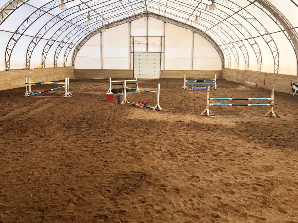 Benchview Equestrian Centre | 834 Queenston Rd, Niagara-on-the-Lake, ON L0S 1J0, Canada | Phone: (905) 329-5940