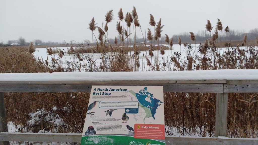 Wawanosh Wetlands Conservation Area | 6013 Blackwell Side Rd, Sarnia, ON N7X, Canada | Phone: (519) 245-3710