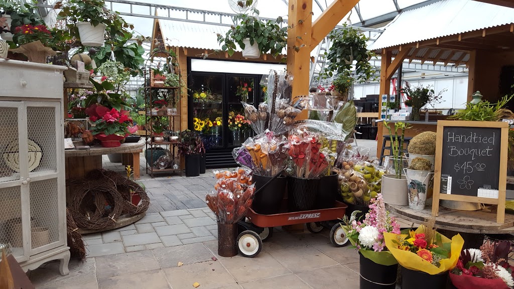 Sunshine Nursery & Greenhouse | 824 Main St Unit A, Steinbach, MB R5G 2H4, Canada | Phone: (204) 326-9053