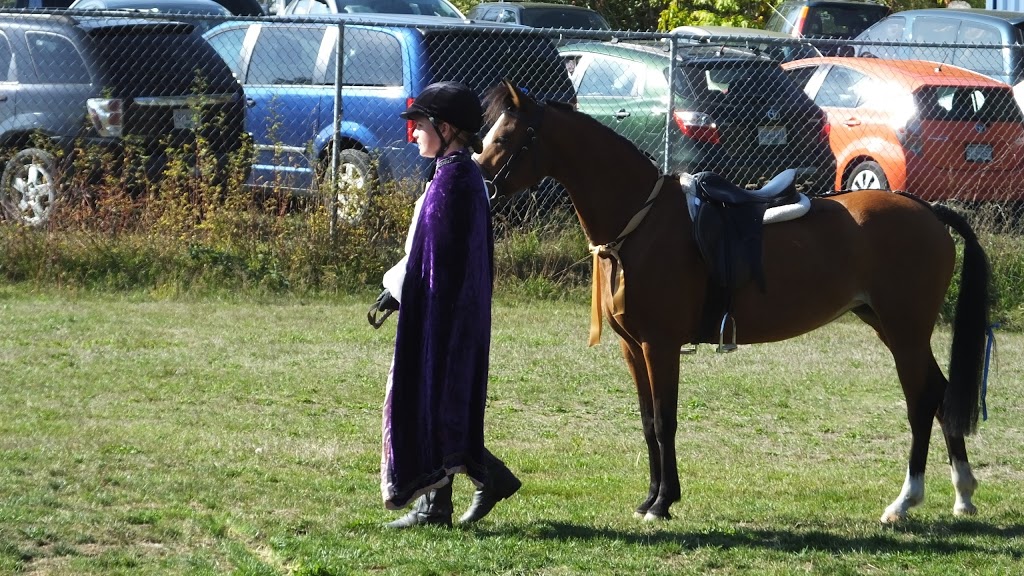 Sunrise Waldorf School | 2148 Lakeside Rd, Duncan, BC V9L 6M3, Canada | Phone: (250) 743-7253