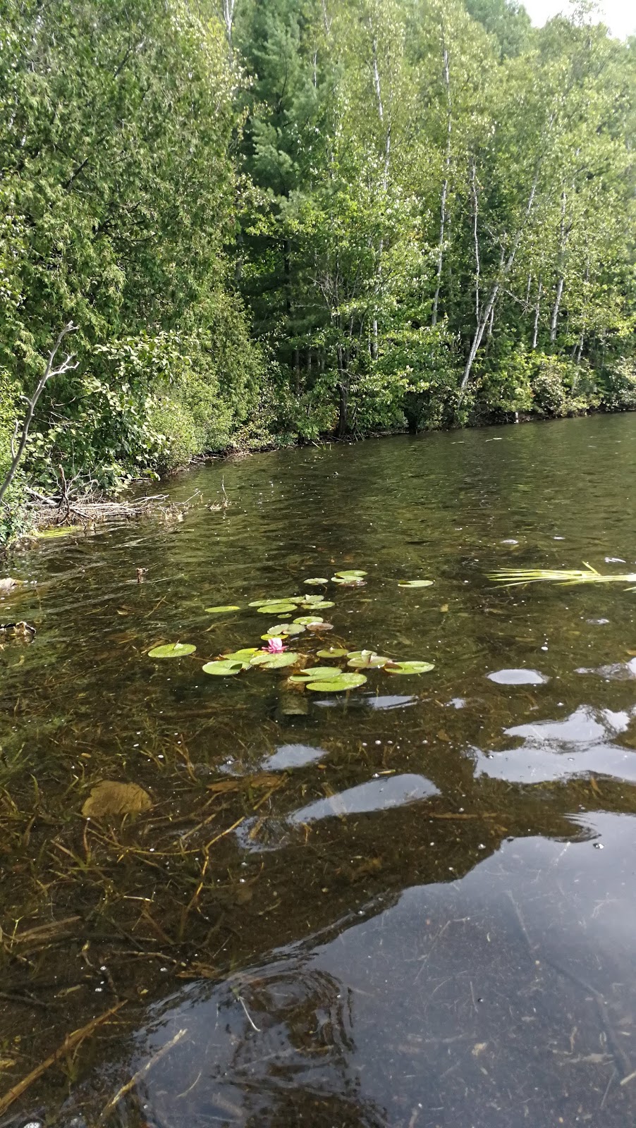 Auberge du Lac Thomas | 971 Chemin du Lac Thomas, Saint-Didace, QC J0K 2G0, Canada | Phone: (450) 835-0555