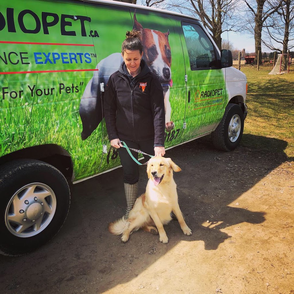 Radiopet Hidden Dog Fencing | 252 Wessenger Dr, Barrie, ON L4N 8R4, Canada | Phone: (705) 739-8885