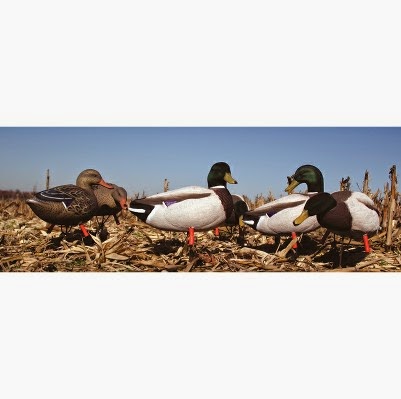 Canadian Waterfowl Supplies | 81 Oakland Rd, Scotland, ON N0E 1R0, Canada | Phone: (855) 434-3825