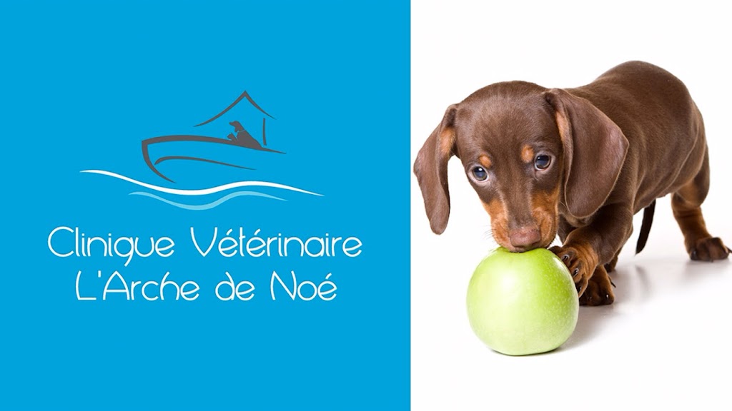 Clinique vétérinaire lArche de Noé | 753 Rue Notre Dame, Saint-Rémi, QC J0L 2L0, Canada | Phone: (450) 454-2801