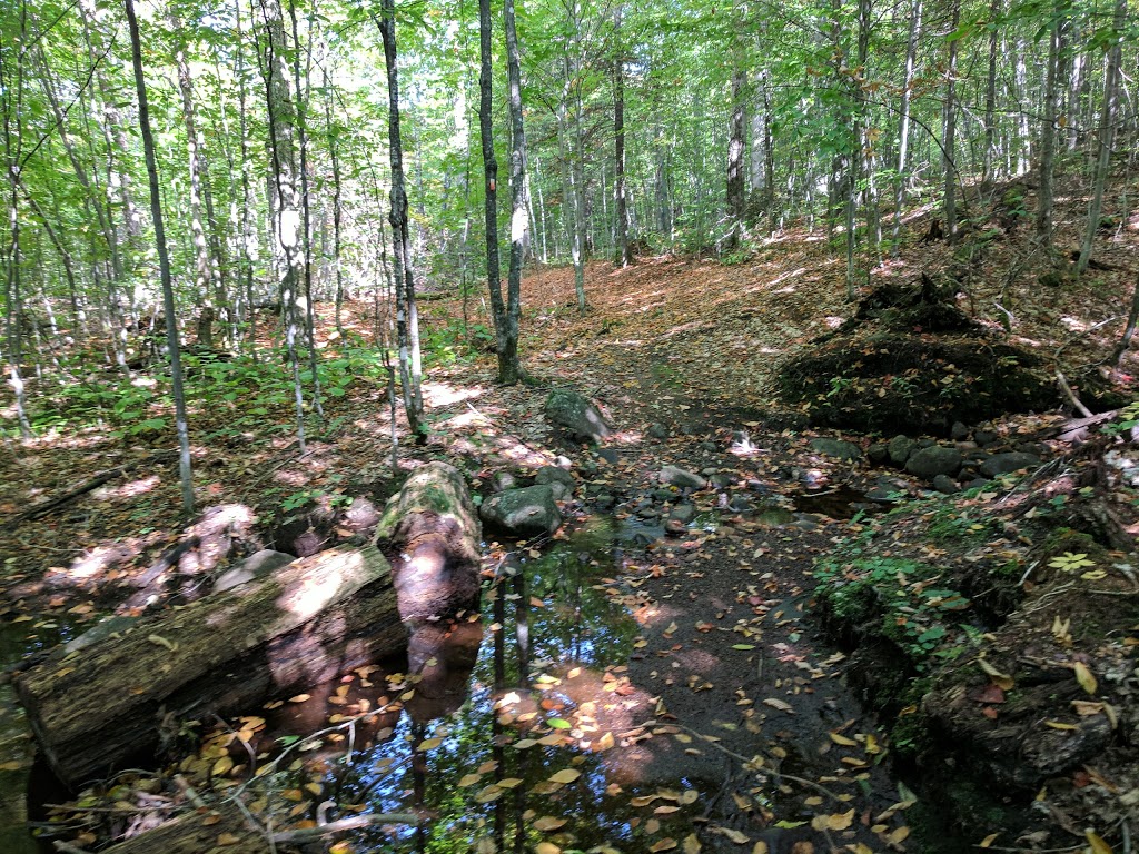 Centre DAcces A La Nature | 2424 Chemin du Lac Quenouille, Lac-Supérieur, QC J0T 1P0, Canada | Phone: (819) 688-3212