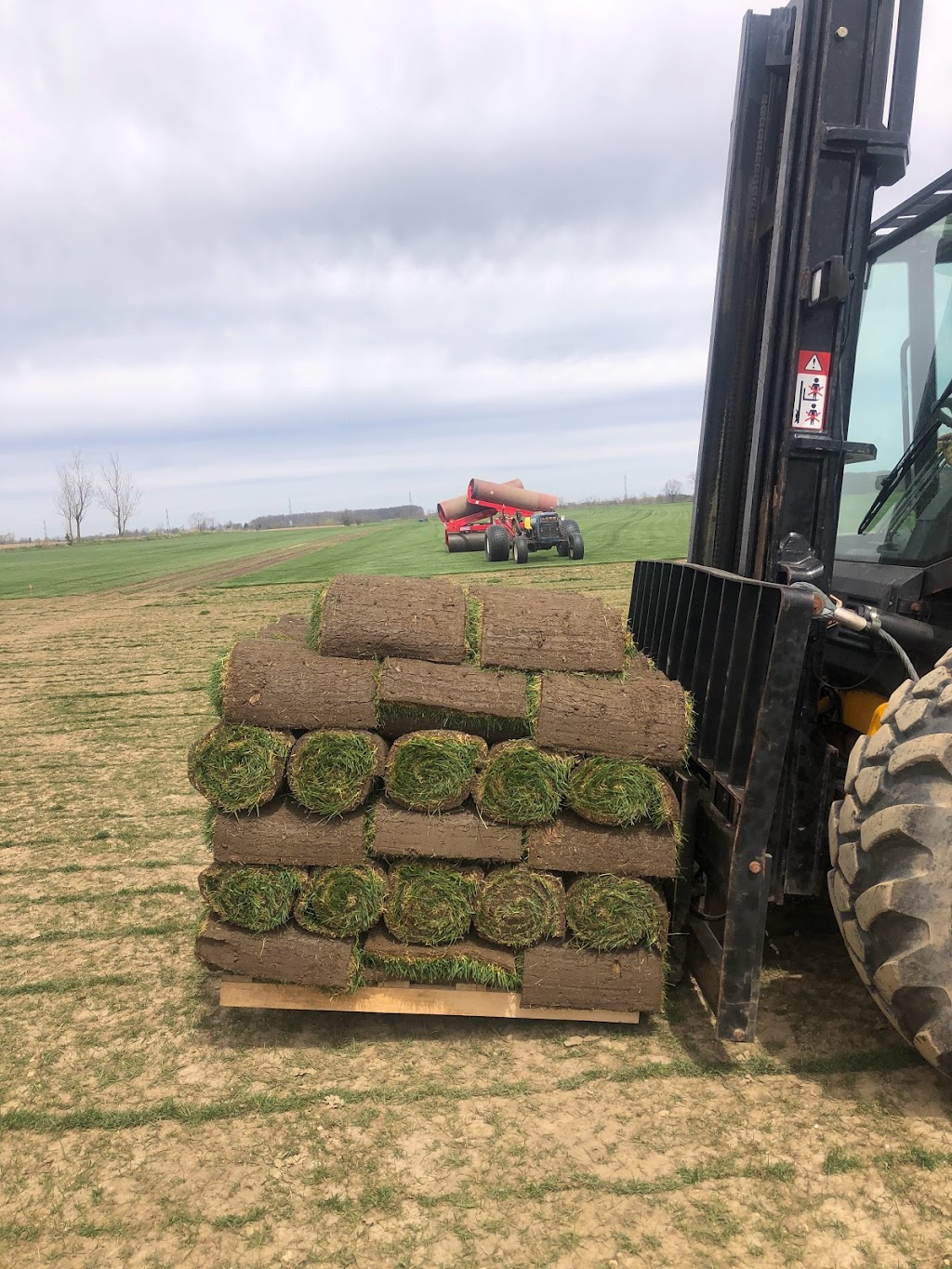 Wayside Sod | 144037 Hawkins Rd, Tillsonburg, ON N4G 4G8, Canada | Phone: (519) 842-4468