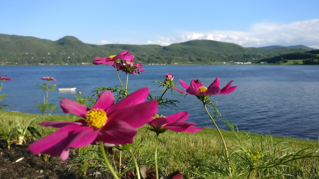 Résidence touristique lAnse de tabatière | 8 Chem. du Cran, LAnse-Saint-Jean, QC G0V 1J0, Canada | Phone: (581) 221-2022