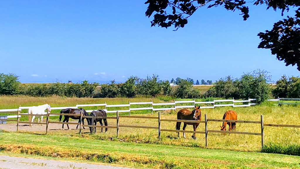 Paradise Found Farm | 4452 66 St, Delta, BC V4K 4Y8, Canada | Phone: (604) 377-6465