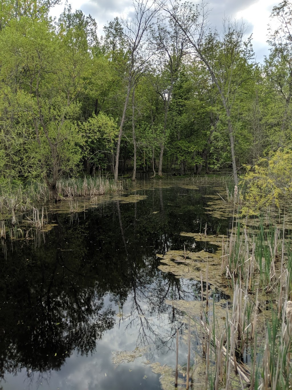 Great Baehre Swamp Wildlife Management Area | Buffalo, NY 14221, USA