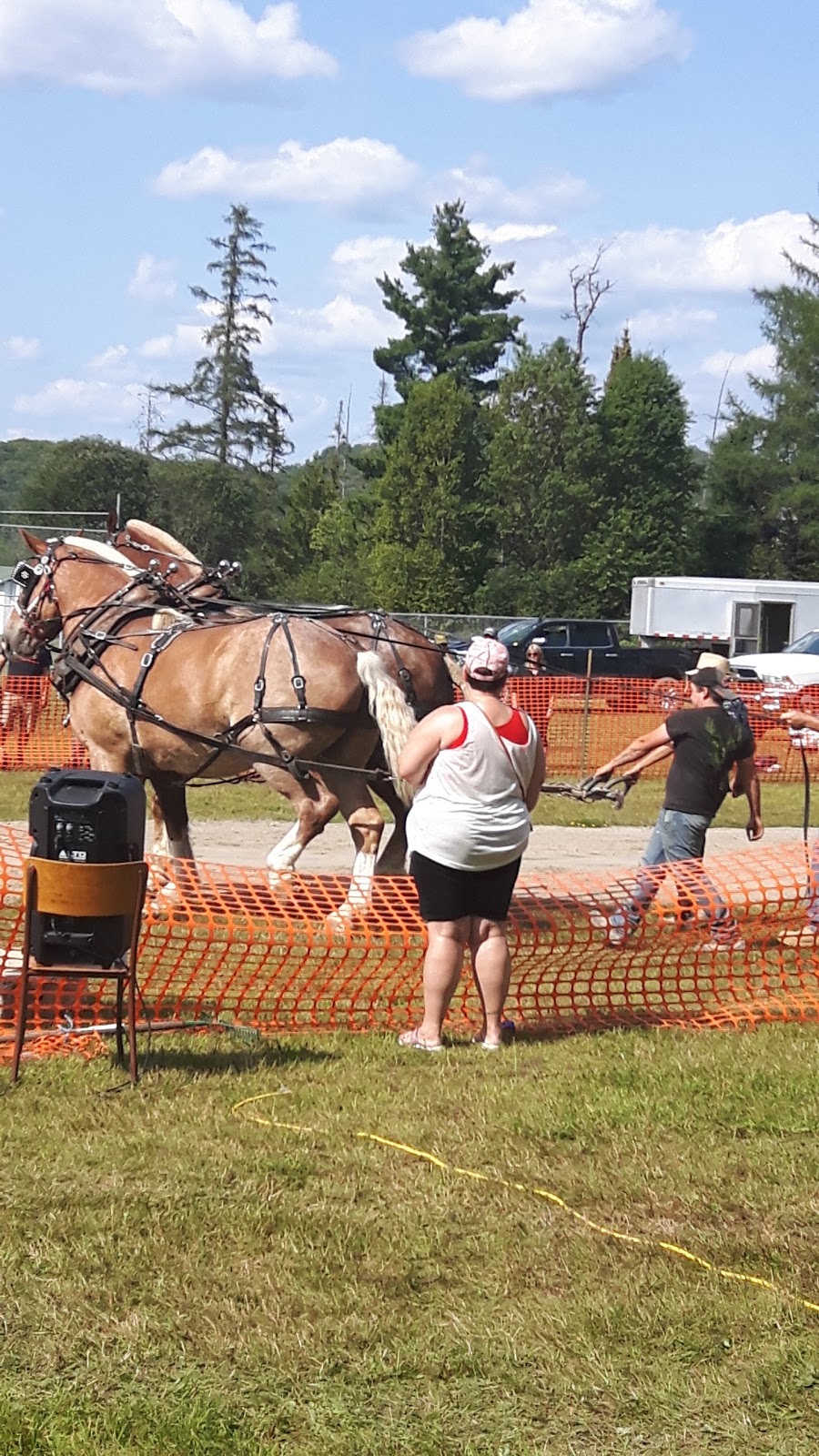 Emsdale Community Centre | 32 Joseph St, Emsdale, ON P0A 1J0, Canada | Phone: (705) 636-5941