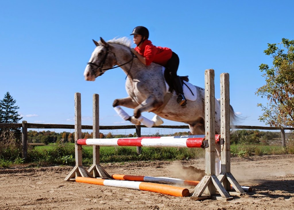 Whitchurch Riding Academy | 19480 McCowan Rd, Mount Albert, ON L0G 1M0, Canada | Phone: (905) 473-5260