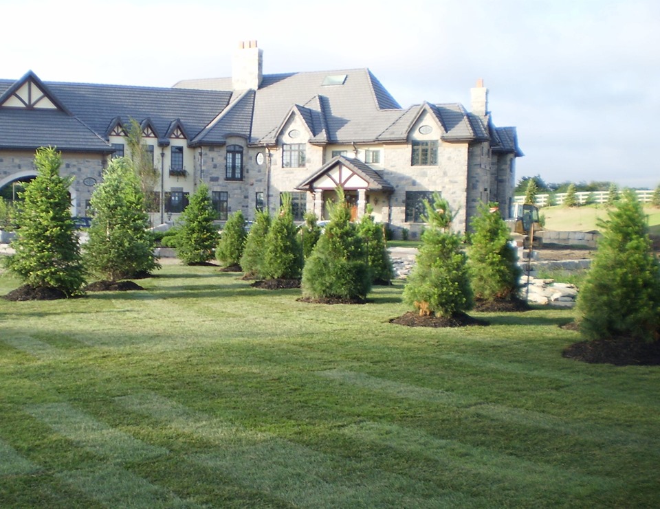 Eagle Landscaping Ltd | 107 Forestview Rd, Oro-Medonte, ON L3V 0R4, Canada | Phone: (705) 826-1258