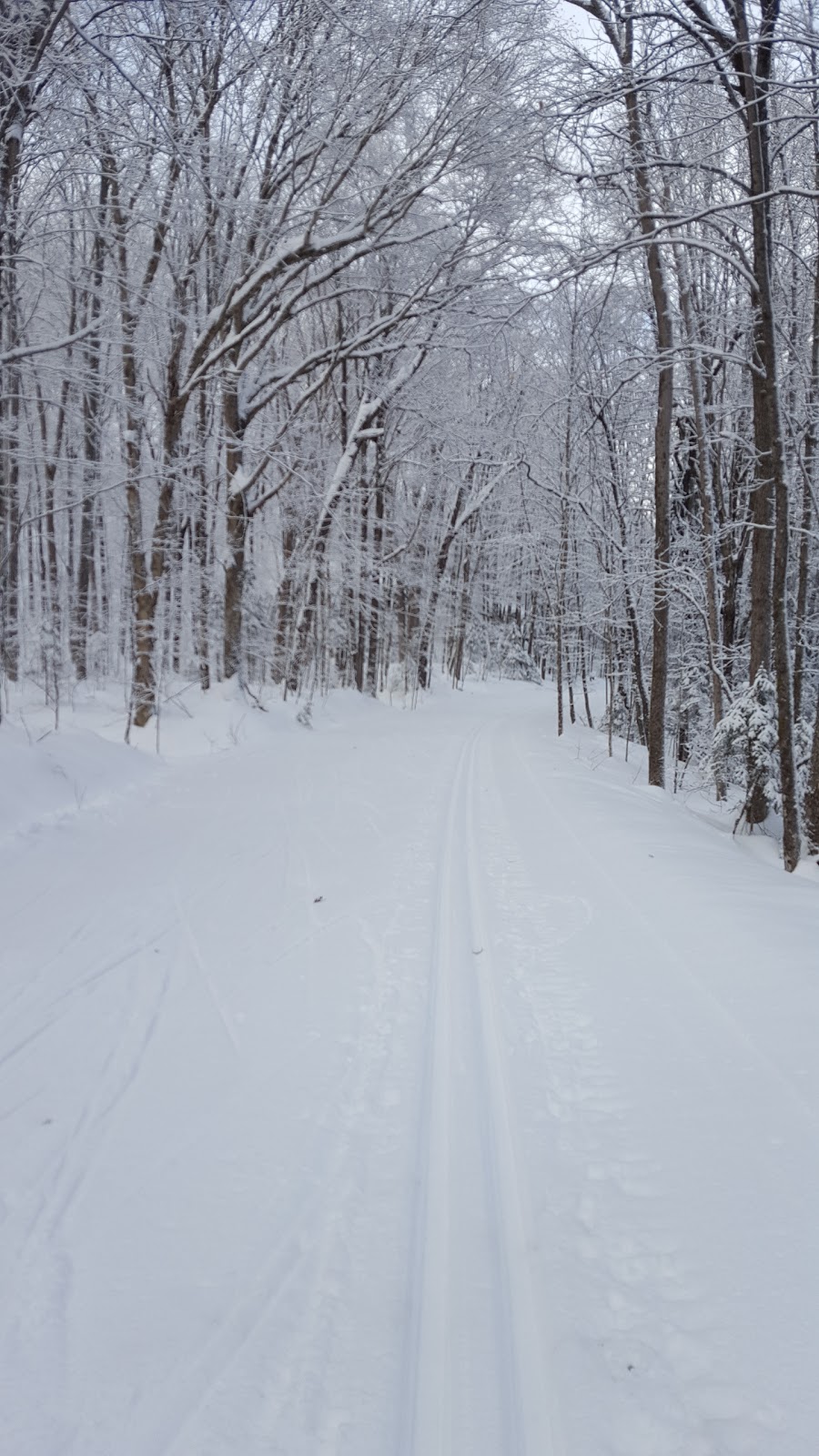 Arrowhead Provincial Park Cross Country Skiing | RR3, Huntsville, ON P0A 1R0, Canada | Phone: (705) 789-5105