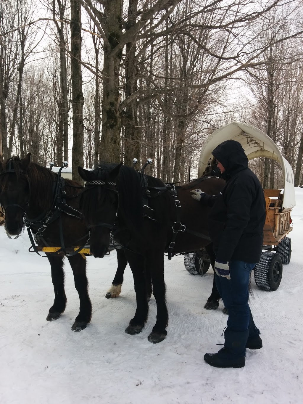 Cabane à Sucre Chez Ti-Père | 4335 Rte Caya, Saint-Nicéphore, QC J2A 2Z8, Canada | Phone: (819) 394-2442