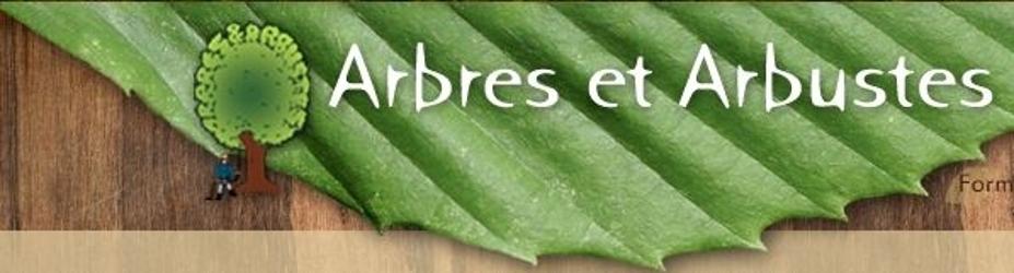 Arbres Et Arbustes | 360 Bd Sainte-Rose, Laval, QC H7L 1N1, Canada | Phone: (514) 339-9559