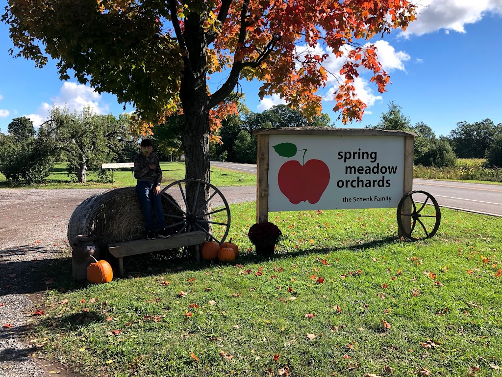 Spring Meadow Orchards | 10143 Loyalist Pkwy, Greater Napanee, ON K7R 3K7, Canada | Phone: (613) 373-9313