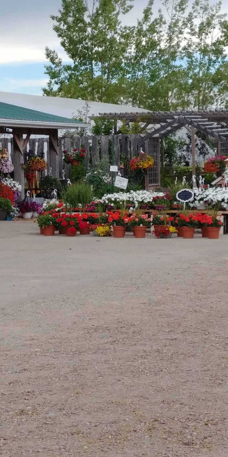 Green Acres Greenhouse | 704 4th Ave E, Watrous, SK S0K 4T0, Canada | Phone: (306) 946-4191