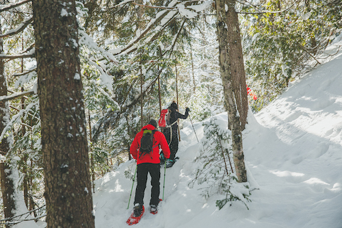 Tourisme Lanaudière | 3568 Rue Church, Rawdon, QC J0K 1S0, Canada | Phone: (450) 834-2535