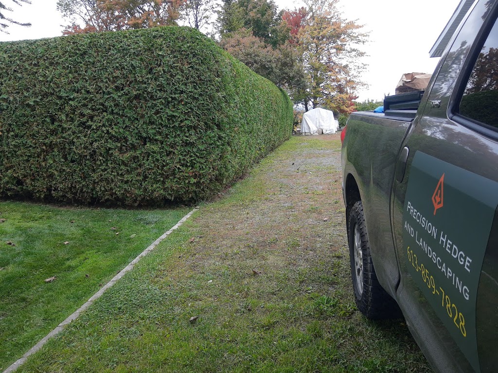 Precision Hedge and Landscaping | 1473 Bourcier Dr, Orléans, ON K1E 3K1, Canada | Phone: (613) 859-7828