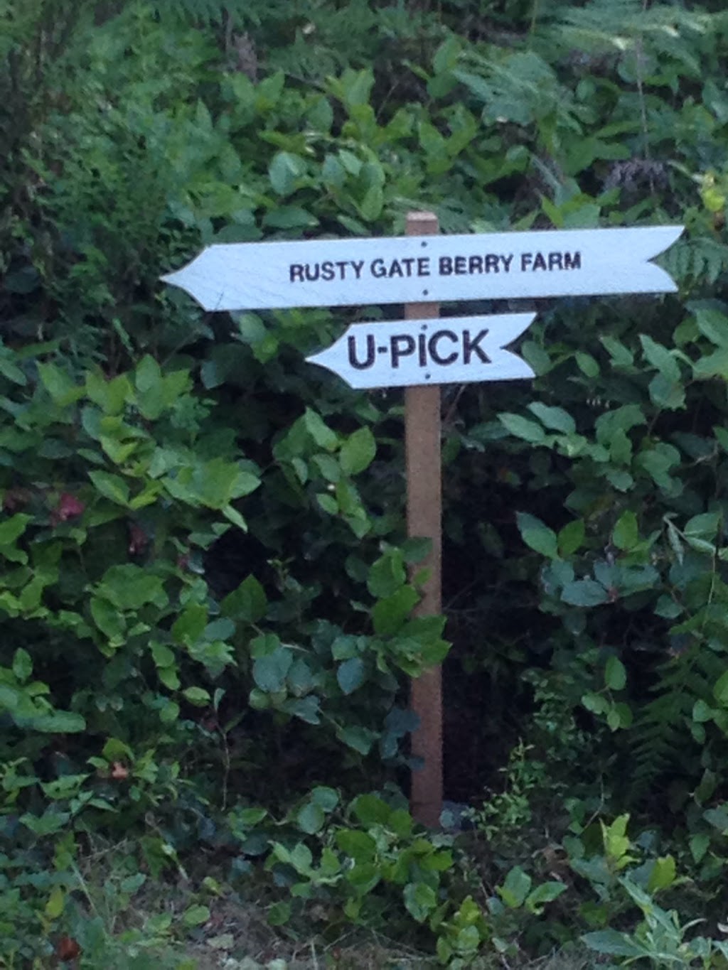 Rusty Gate Berry Farm | 2575 Maywood Rd, Powell River, BC V8A 0P4, Canada | Phone: (604) 740-7215