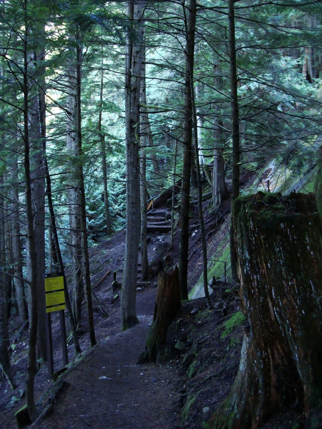 Upper Shannon Falls Trail | Squamish, BC V0N 1T0, Canada