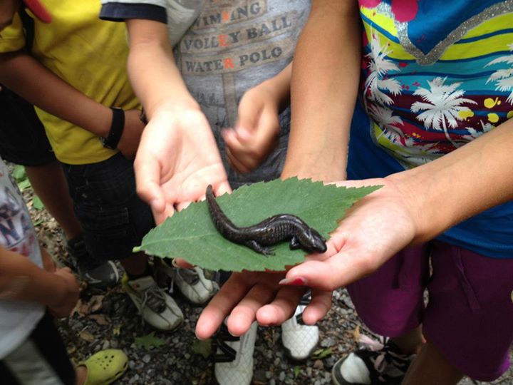 Barefoot Bushcraft | 1874 Highway 20 Rd E, Fonthill, ON L0S 1E6, Canada | Phone: (866) 248-1362