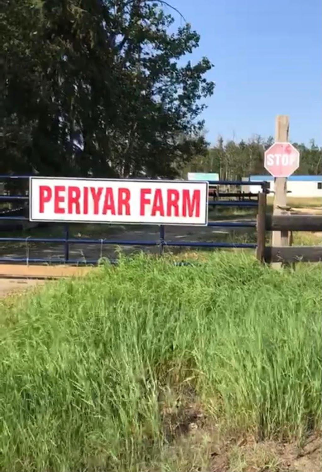 Periyar Farm | Range Rd 233, Perryvale, AB T0G 1Z0, Canada | Phone: (780) 905-8892