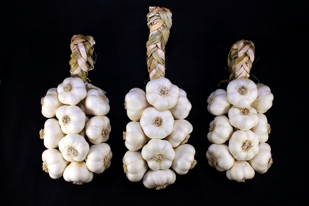 Jardin Nature Ail Garlic | 729 QC-255, Dudswell, QC J0B 1G0, Canada | Phone: (819) 388-1309