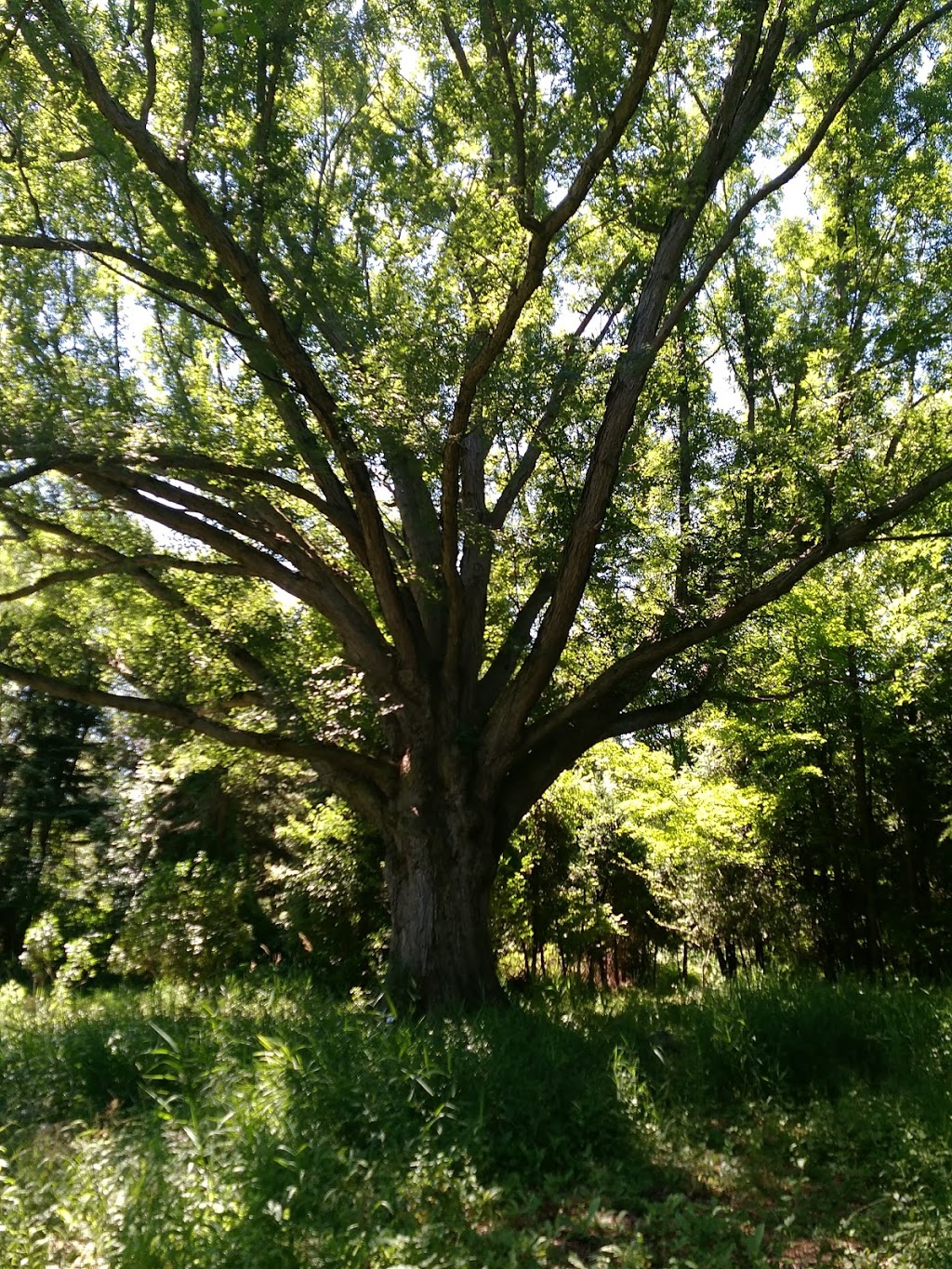 Sunny Fields, Inc. Botanical Park | 5444 Welch Rd, Emmett, MI 48022, USA | Phone: (810) 387-2765