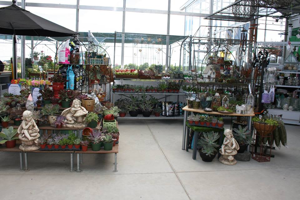 Royal City Nursery | 6838 Wellington Rd 124, Guelph, ON N1H 6J4, Canada | Phone: (519) 824-4998