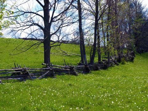 Beaver Valley Orchard and Cidery | 235883, Grey County Rd 13, Kimberley, ON N0C 1G0, Canada | Phone: (519) 599-1001