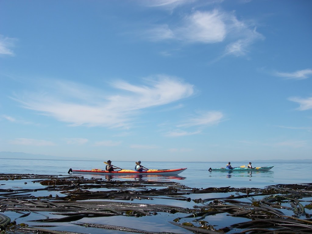 Cascadia Kayaks | 441 Sweetbrier Ln, Lopez Island, WA 98261, USA | Phone: (360) 468-3008