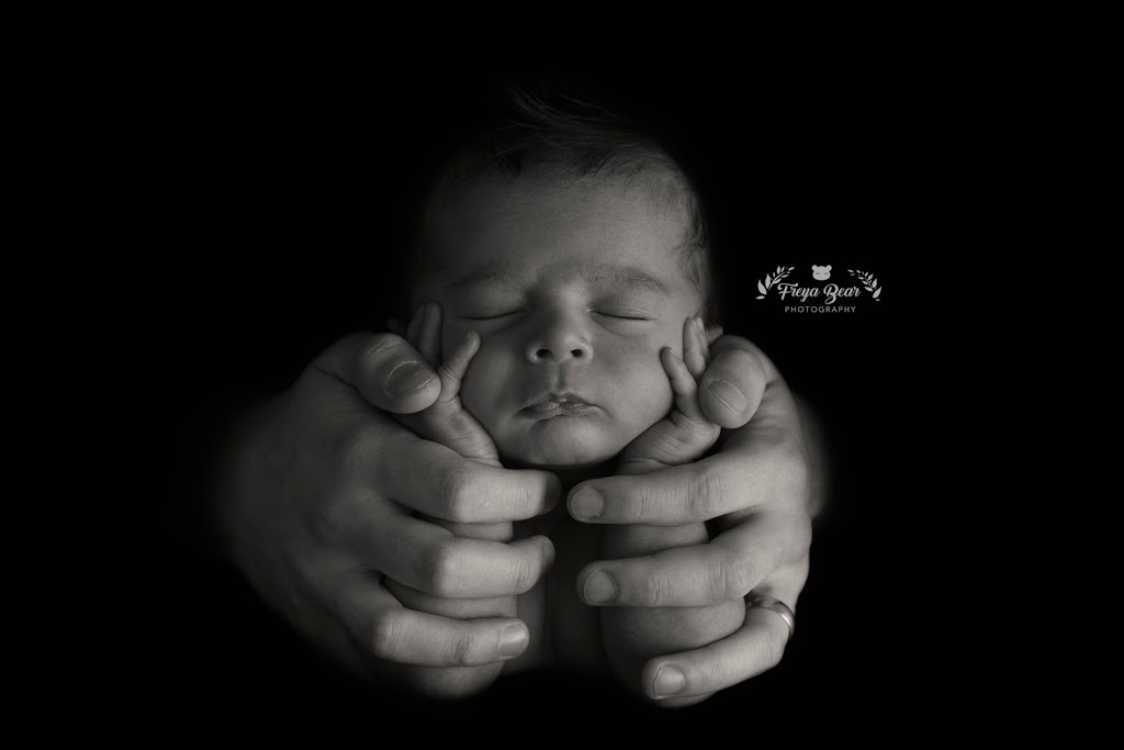 Freya Bear Photography | 20-8968 208 St, Langley City, BC V1M 4C5, Canada | Phone: (778) 929-0800