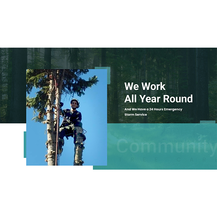 Community Tree Care | 2622 Bridlewood Ct, Mississauga, ON L5C 4B9, Canada | Phone: (647) 444-6883