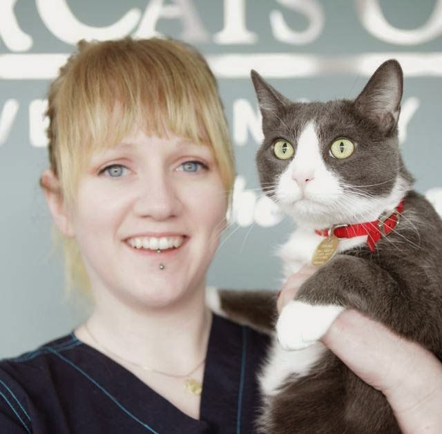 VCA Canada Cats Only Animal Hospital | 1599 W 4th Ave, Vancouver, BC V6J 1L6, Canada | Phone: (604) 734-2287