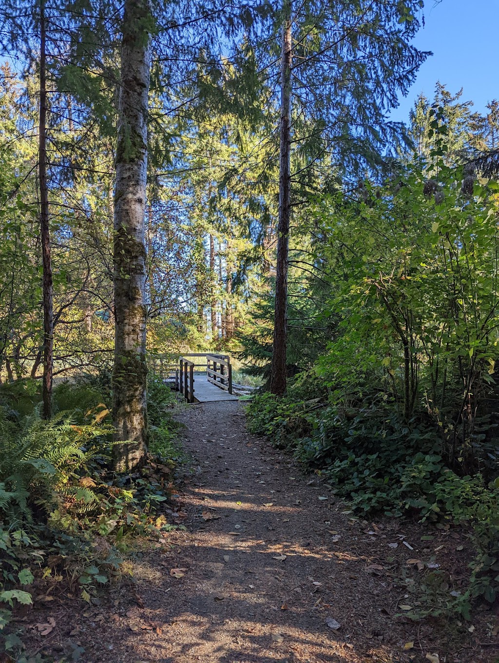 Driftwood Park | Clarkson Ave, Black Creek, BC V9J 1J9, Canada | Phone: (250) 334-6000