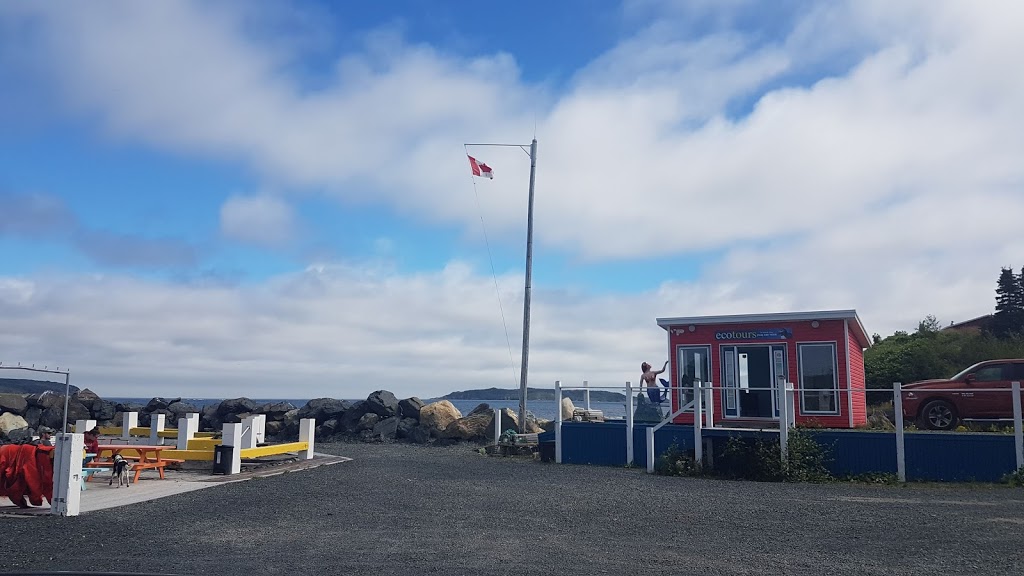 Ecotours Zodiac Adventures | Lower Loop Rd, Witless Bay, NL A0A 4K0, Canada | Phone: (709) 330-8687