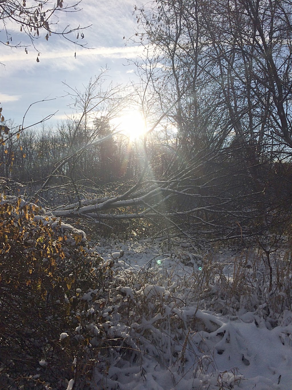 Waterfront Trail | Kemptville, ON K0G 1J0, Canada